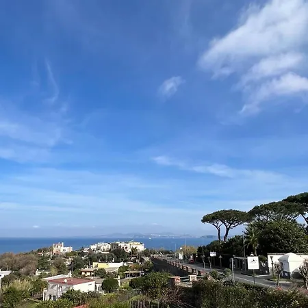Il Borgo Int1 アパート イスキア島